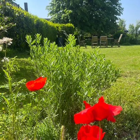 펜션 Charmante Chapelle Amenagee A Eprave 로슈포르