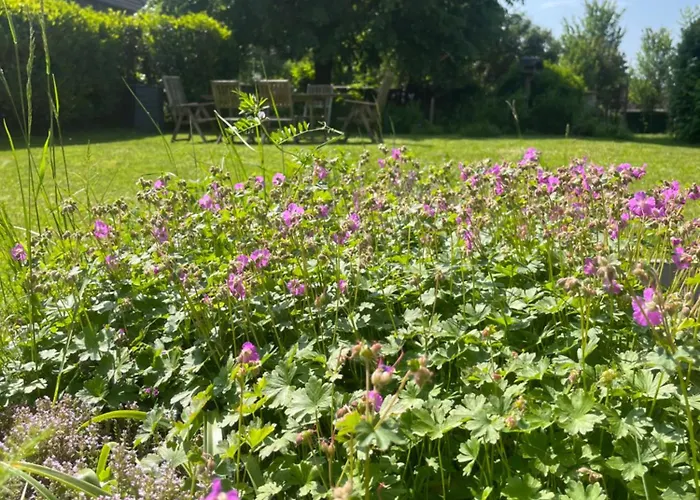 Charmante Chapelle Amenagee A Eprave Holiday home *