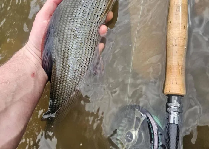 Holiday home Charmante Chapelle Amenagee A Eprave Rochefort