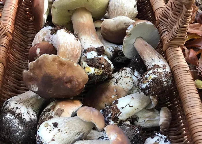 Charmante Chapelle Amenagee A Eprave