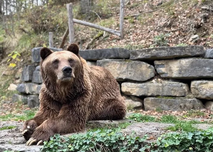 Charmante Chapelle Amenagee A Eprave Rochefort