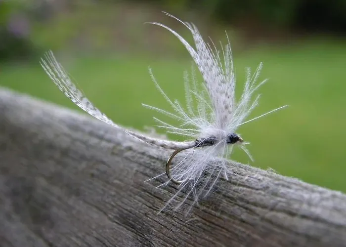 Vakantiehuis Charmante Chapelle Amenagee A Eprave
